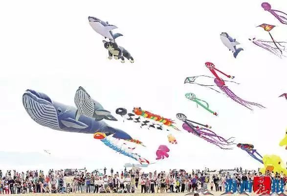 kaiyun体育app-风筝体育竞赛，空中彩绘的运动奇景的简单介绍