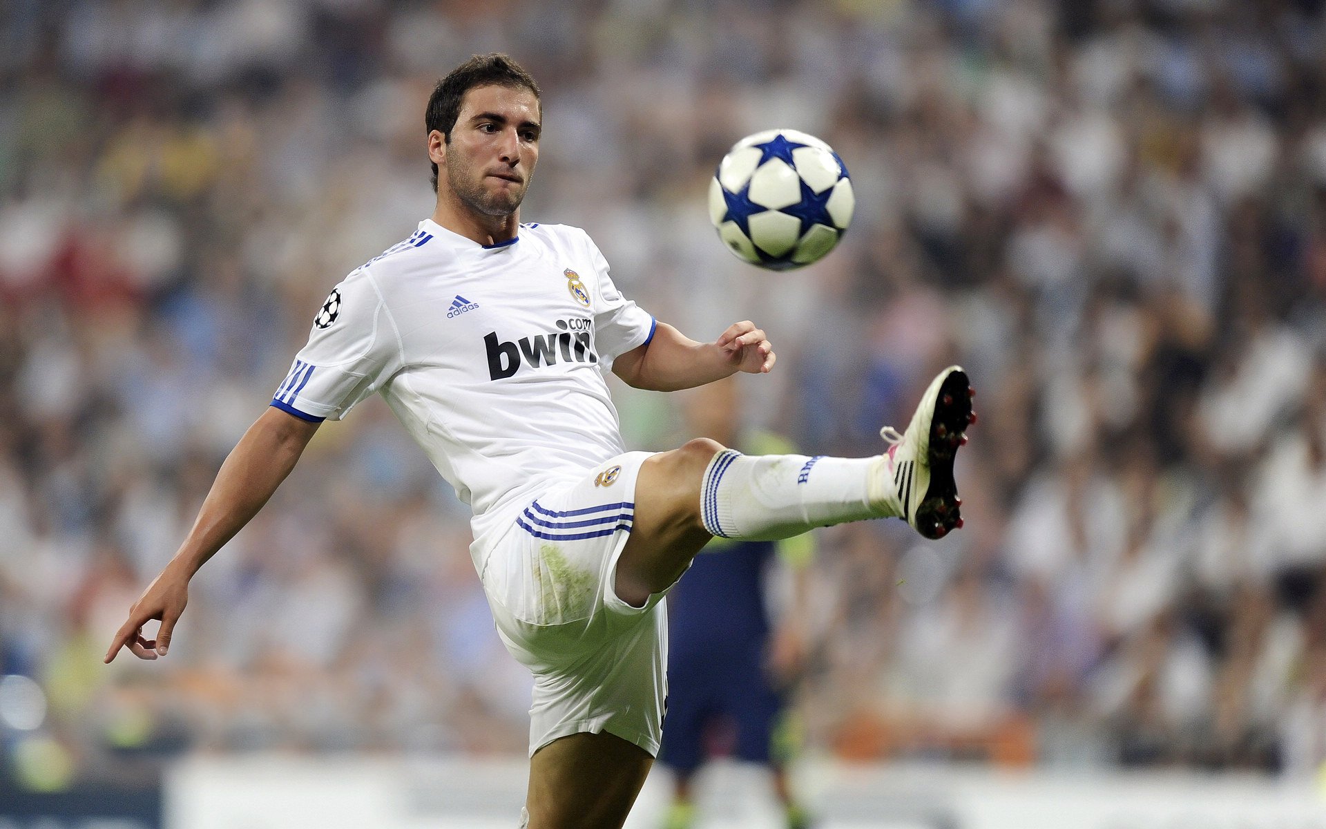 比利时举重队员表示:“我们将继续努力,为下届奥运会做好准备”